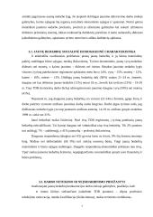 Jaunimo darbo rinkos ypatybės 7 puslapis