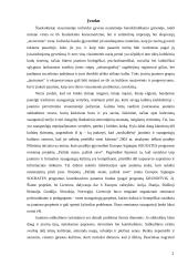 Jaunimo subkultūra 2 puslapis