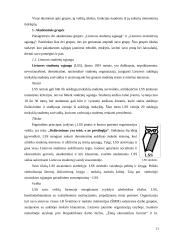 Jaunimo subkultūra 11 puslapis