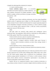 Jaunimo subkultūra 13 puslapis