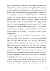 Jaunimo subkultūra 14 puslapis