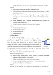 Jaunimo subkultūra 16 puslapis