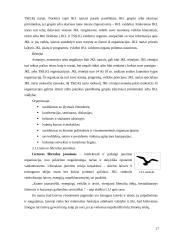 Jaunimo subkultūra 17 puslapis