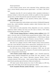 Jaunimo subkultūra 18 puslapis