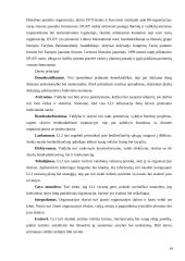 Jaunimo subkultūra 19 puslapis