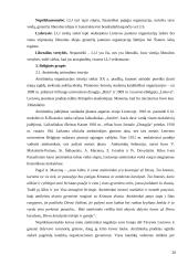 Jaunimo subkultūra 20 puslapis