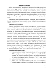 Jaunimo subkultūra 4 puslapis