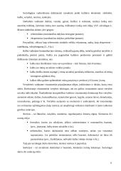 Jaunimo subkultūra 6 puslapis