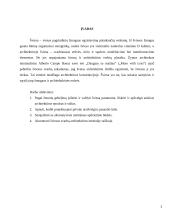 Šviesos reikšmė architektūrinių objektų meninio vaizdo suvokime 3 puslapis