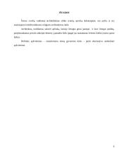 Šviesos reikšmė architektūrinių objektų meninio vaizdo suvokime 9 puslapis