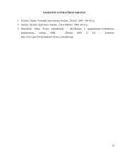 Šviesos reikšmė architektūrinių objektų meninio vaizdo suvokime 10 puslapis