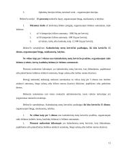 Juridinių asmenų apmokestinimo reglamentavimas 12 puslapis