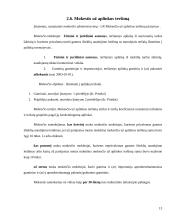 Juridinių asmenų apmokestinimo reglamentavimas 13 puslapis