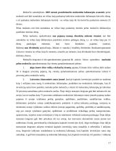 Juridinių asmenų apmokestinimo reglamentavimas 17 puslapis