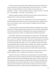 Taisyklinga kūno laikysena ir sveikata 13 puslapis