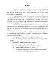 Kainos strategijos valdymo ypatumai 2 puslapis