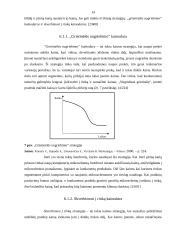 Kainos strategijos valdymo ypatumai 14 puslapis