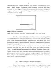 Kainos strategijos valdymo ypatumai 15 puslapis