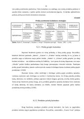 Kainos strategijos valdymo ypatumai 16 puslapis