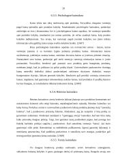 Kainos strategijos valdymo ypatumai 20 puslapis