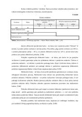 Kainos strategijos valdymo ypatumai 4 puslapis