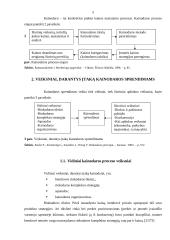 Kainos strategijos valdymo ypatumai 5 puslapis