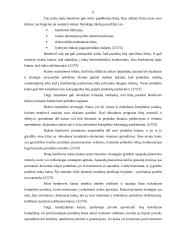 Kainos strategijos valdymo ypatumai 6 puslapis