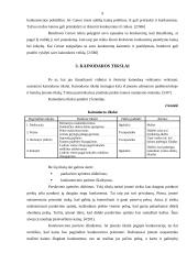 Kainos strategijos valdymo ypatumai 9 puslapis