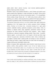 Tarnybiniai šunys. Patruliavimo su šunimis taktika. Tarnybinio šuns panaudojimo taktika sulaikant valstybės sienos pažeidėjus 6 puslapis