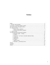 Kalendorinės šventės vaikų darželyje 2 puslapis