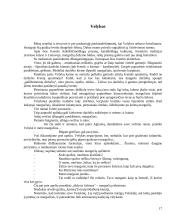 Kalendorinės šventės vaikų darželyje 17 puslapis