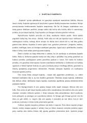 Kapitalas. Kapitalo kaštai 2 puslapis