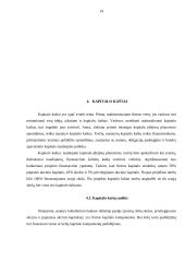 Kapitalas. Kapitalo kaštai 12 puslapis
