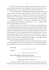 Kapitalas. Kapitalo kaštai 13 puslapis