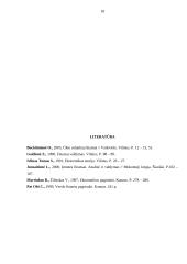 Kapitalas. Kapitalo kaštai 16 puslapis