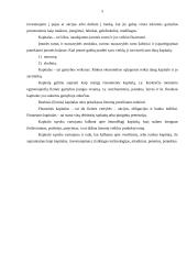 Kapitalas. Kapitalo kaštai 3 puslapis