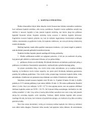 Kapitalas. Kapitalo kaštai 4 puslapis