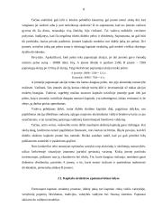 Kapitalas. Kapitalo kaštai 6 puslapis