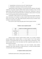 Kapitalas. Kapitalo kaštai 7 puslapis