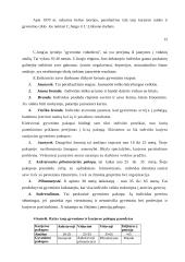 Karjera ir karjeros valdymas 14 puslapis