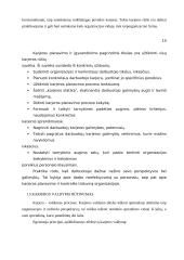 Karjera ir karjeros valdymas 17 puslapis