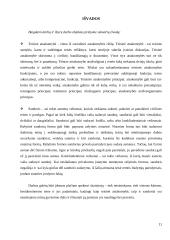 Teisinė atsakomybė. Sandorių sudarymo forma 11 puslapis