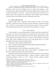 Teisinė atsakomybė. Sandorių sudarymo forma 6 puslapis