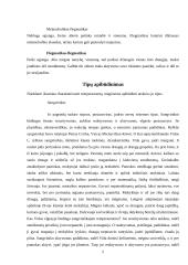 Temperamentai 6 puslapis