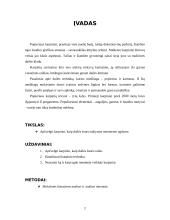 Karpiniai. Karpinio technikos taikymo galimybės menineme ugdyme 3 puslapis