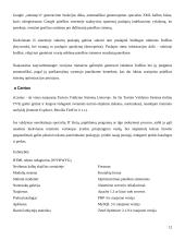 Turinio valdymo sistemos 13 puslapis