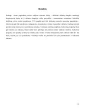 Turinio valdymo sistemos 16 puslapis