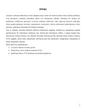 Turinio valdymo sistemos 3 puslapis