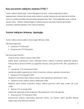 Turinio valdymo sistemos 4 puslapis