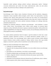 Turinio valdymo sistemos 10 puslapis
